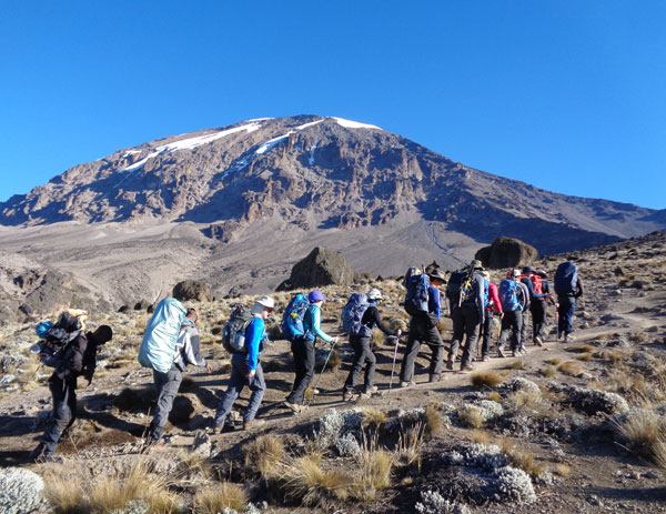 6 Days Kilimanjaro Climb Umbwe Route