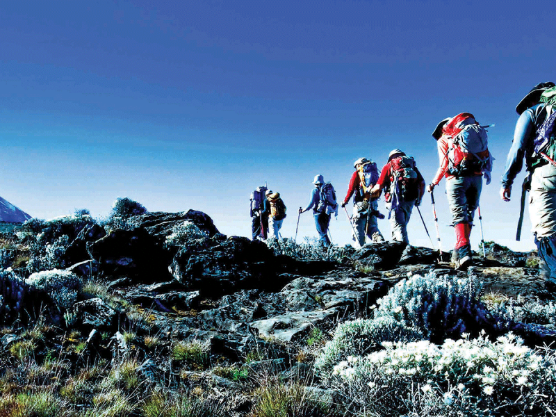 9 Days Mount Kilimanjaro Northern Circuit